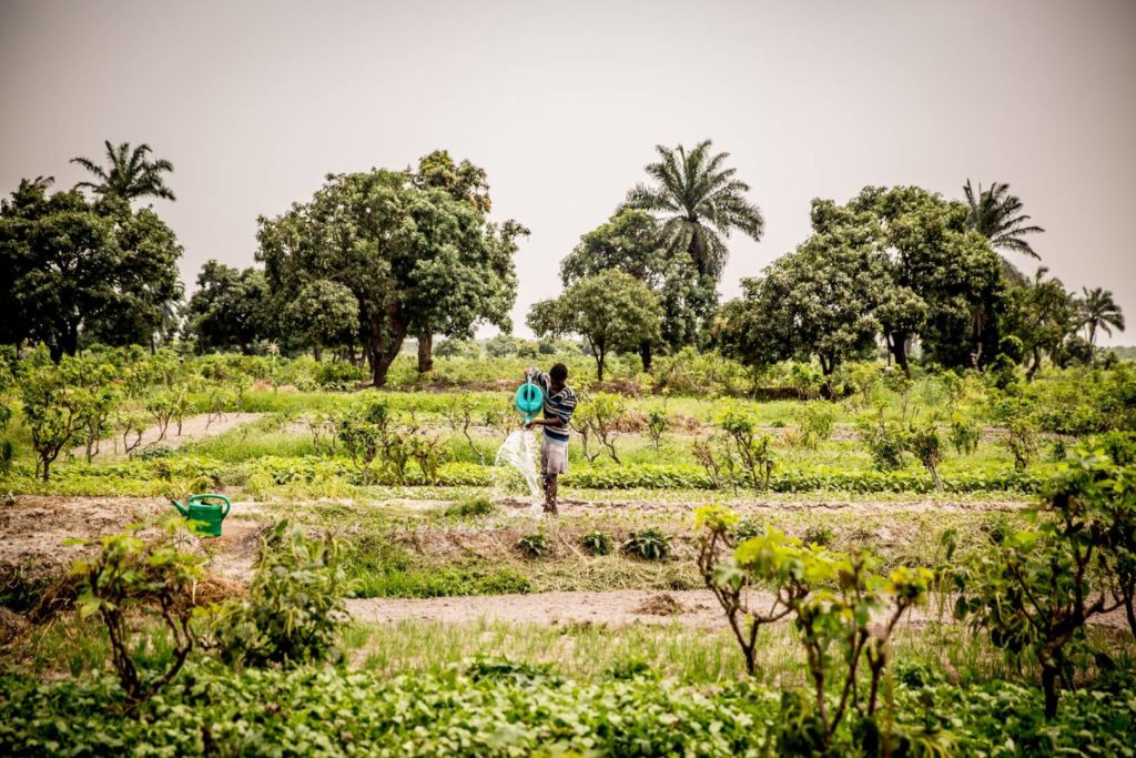 Congo_aarde_markt_32