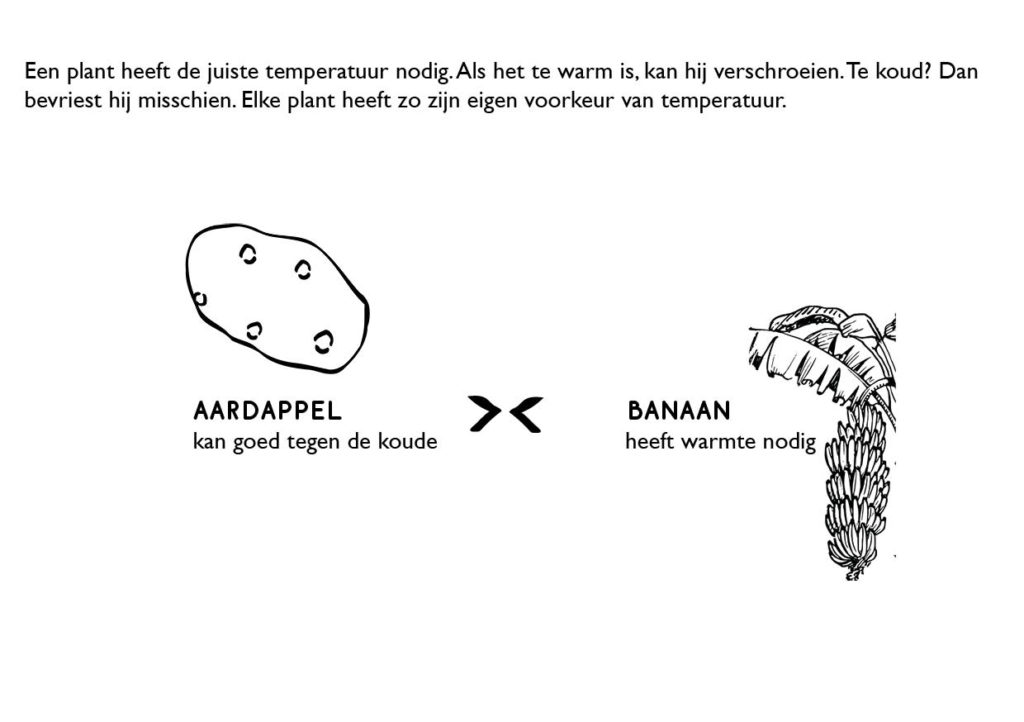 Banaan_InfografiekWarmte