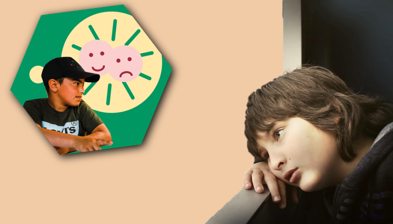 Emotieverhaal